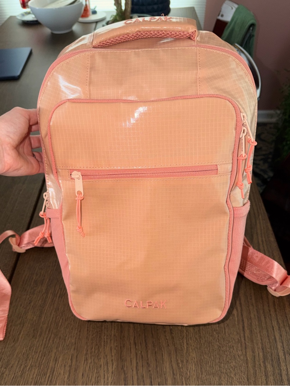 CALPAK Terra Laptop Backpack in Canyon